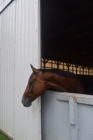 Big checks out Java and I during our mini photo shoot