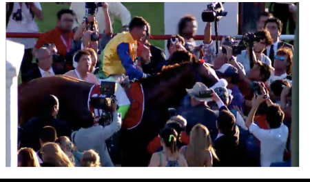 screen-shot-2017-02-05-at-5-16-40-pm